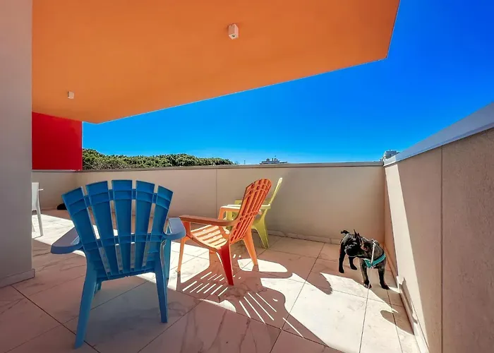 Zeus * Бибионе